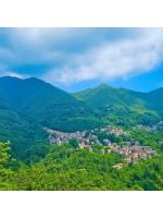 Stephanie Residence - B&B Esino Lario