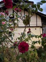 Casa Árbol - B&B Pedro Bernardo