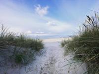 Charming Hornbaek Home Spacious Garden Retreat - B&B Hornbæk