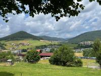 Waldblick-Appartement - Ferienwohnung Baiersbronn