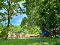 Monkeys Lodge - B&B Seeduwa