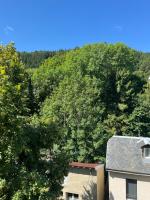 Chaleureux et cosy-emplacement idéal - 4 pers - B&B Le Mont-Dore