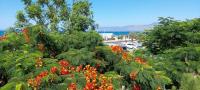 Latchi coast villa-resort - Bed and Breakfast Latchi