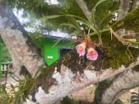 Camera Matrimoniale con Accesso Disabili