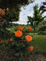 Madonna della Rosa - B&B Chianciano Terme