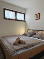 Apartmán u Krakonoše - B&B Trutnov