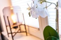 Boutique Apartment Parsifal - Ferienwohnung Bayreuth