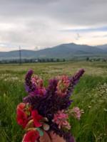Baleni Guesthouse Agritourism - Bed and Breakfast Gyulagarak