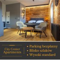 Apartament City Center Modern Loft 2 - bezpłatny parking - B&B Krynica-Zdrój