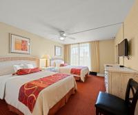 Appartamento con 2 Camere da Letto