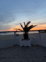 Tiny Haus am See - B&B Neustadt-Glewe