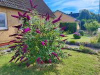 Gemütliches Gästezimmer in Flensburg-Weiche - B&B Flensburgo