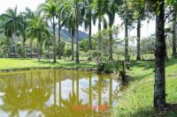 Suite em Macae com mini fazendinha e piscina - B&B Sana