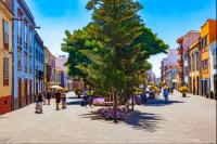 Casa Anik un apartamento tranquilo y bien ubicado en La Laguna -Tu refugio en Tenerife - B&B San Cristóbal de La Laguna