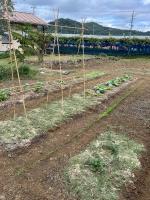 House tomari木-山梨 - B&B Yamanashi