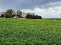 Behm's Farm - B&B Manzanola