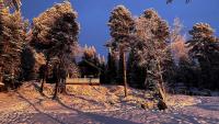 Cozy Arctic Lakeside Cottage with private sauna - B&B Pello