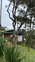 Vale Dourado Cabanas - B&B Urubici
