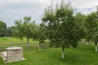 La Saliste - B&B