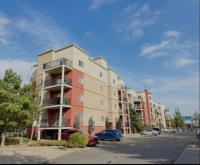 The Bloom Haven - 3mins to West Edmonton Mall - B&B Edmonton