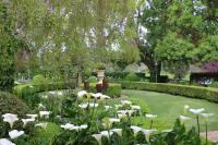 23onWindsor - B&B Hahndorf