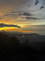 Cold Stone Villa -a cozy escape above the clouds - B&B Kodaikānāl