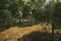 Casa Vacanze Patrizia - Ferienwohnung