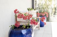 Bird and Leaf Cottage - B&B Brisbane