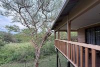 Vulture Suite Hippo Waterfront Lodge - B&B Nelspruit
