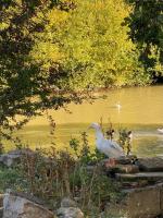 Hunters Cabin - Rustic farm stay - B&B Great Chart