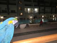 El Hambra Compound - Chambres d’hôtes Hurghada