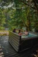 NWPADS-Verlot River Cabin - Hot Tub-Firepit-Beach - Chambres d’hôtes Granite Falls