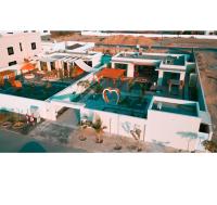 Paradise Vine - B&B Barkā’