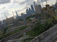 Homely Spacious 3 bedrooms duplex with roof-top next to Victoria Park & regent's canal in vibrant East End London - B&B Londra