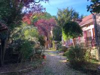 Les Eaux Calmes - Bed and Breakfast Talcy