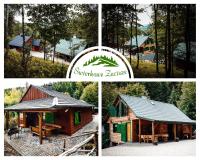 Świerkowe Zacisze Domki - B&B Budzów