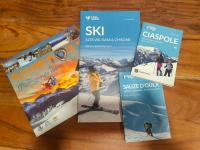 Alpina Loft in Sauze d'Oulx - B&B Sauze d'Oulx