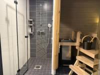 Arctic Aurora Suite - B&B Rovaniemi