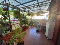 הוילה של דורית - B&B Ashquelon