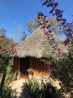 Flor de Arena - B&B Arroyo Cruz