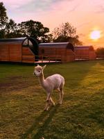 Luxury Lodge with Hot Tub next to Belfry Golf Course - Ferienwohnung Middleton