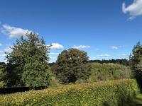 Kissingstone Cottage - Hidden Gem! - B&B Stroud