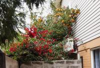 Hostal Abrazo de Maipu - B&B Santiago