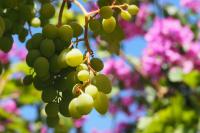 Apartmani Makarska - B&B Makarska