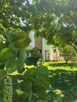 Bayshore 76 Beachfront Villa Palmar de ocoa - Bed and Breakfast Palmar de Ocoa