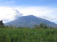 Villa Fiore - B&B Klampok