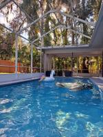 Flo's house III, piscine chauffée privée - B&B Lutz
