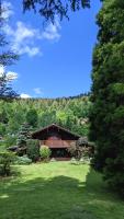 Chalet du Grand Arbre - B&B Le Ménil