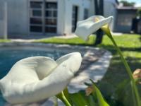 La Luján Ayres de Campo - Chambres d’hôtes Luján