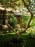 Habitación Doble Deluxe con vistas al jardín - 1 o 2 camas